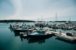 Harraseeket Lunch and Lobster Company