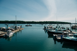 Harraseeket Lunch and Lobster Company