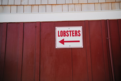 Harraseeket Lunch and Lobster Company