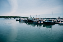 Harraseeket Lunch and Lobster Company